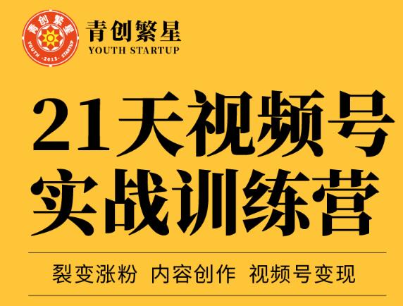张萌21天视频号实战训练营，裂变涨粉、内容创作、视频号变现 价值298元-福喜网创