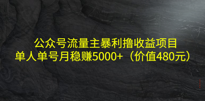 公众号流量主暴利撸收益项目，单人单号月稳赚5000+（价值480元）-福喜网创
