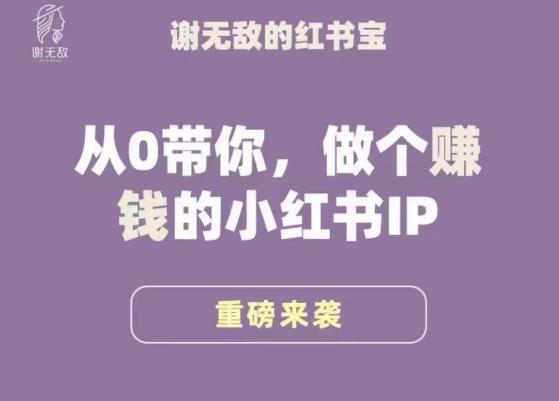 谢无敌·小红书运营大宝典，从0带你做个赚钱的小红书IP-福喜网创