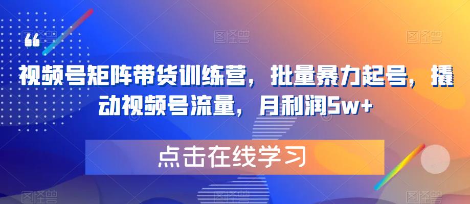 视频号矩阵带货训练营，批量暴力起号，撬动视频号流量，月利润5w+-福喜网创