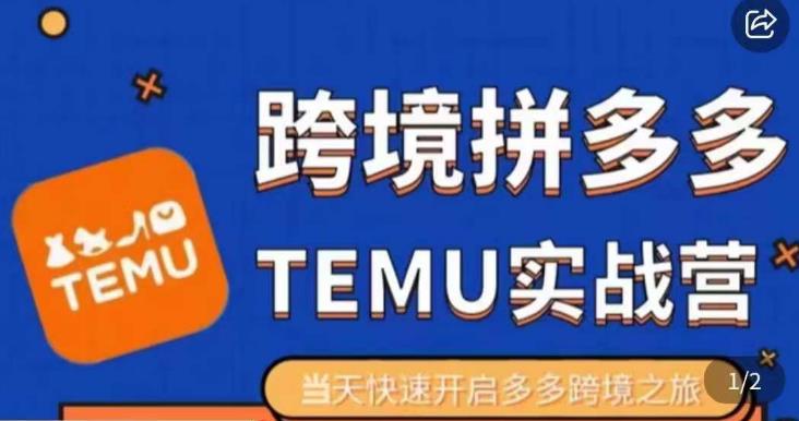 大鹏出海·拼多多跨境temu运营指导，开店注册+选品+核价上架，日出千单实战课-福喜网创