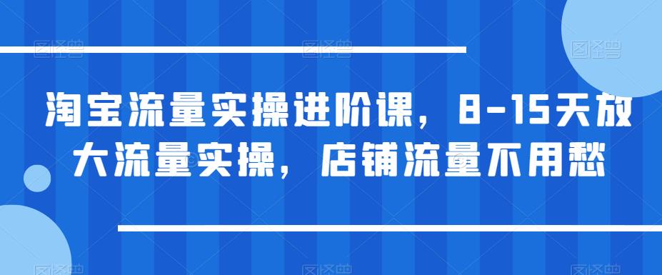 淘宝流量实操进阶课，8-15天放大流量实操，店铺流量不用愁-福喜网创