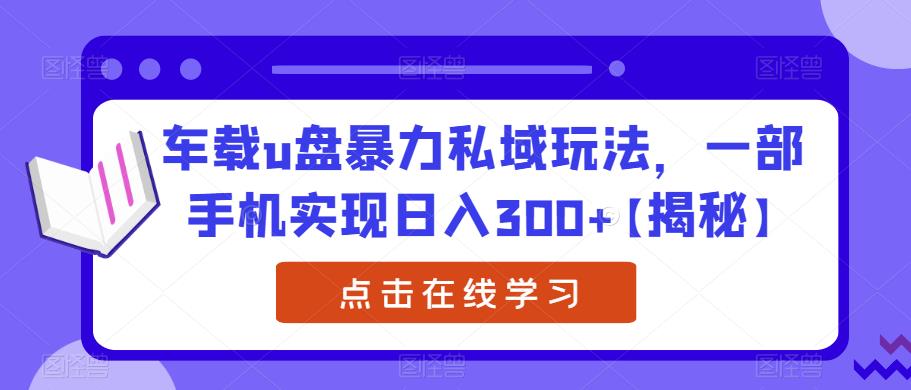 车载u盘暴力私域玩法，一部手机实现日入300+【揭秘】-福喜网创