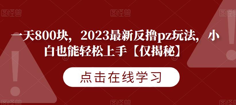 一天800块，2023最新反撸pz玩法，小白也能轻松上手【仅揭秘】-福喜网创