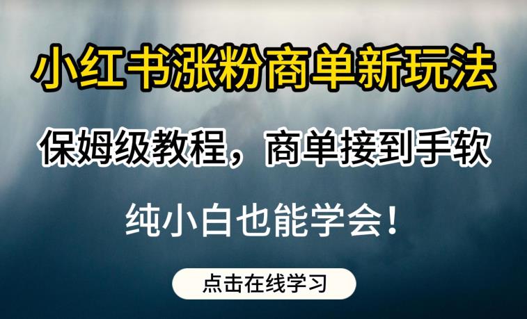 小红书涨粉商单新玩法，保姆级教程，商单接到手软，纯小白也能学会【揭秘】-福喜网创