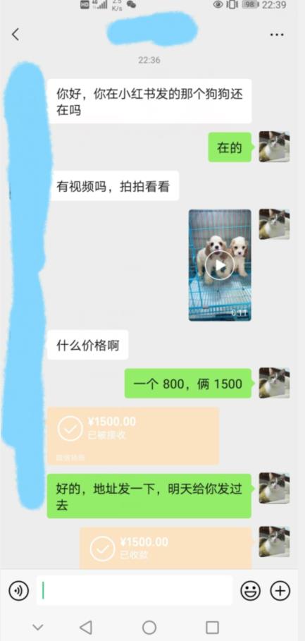 外边收费3980的同城萌宠项目，用最冷门的玩法冲击最热门的市场【揭秘】-福喜网创