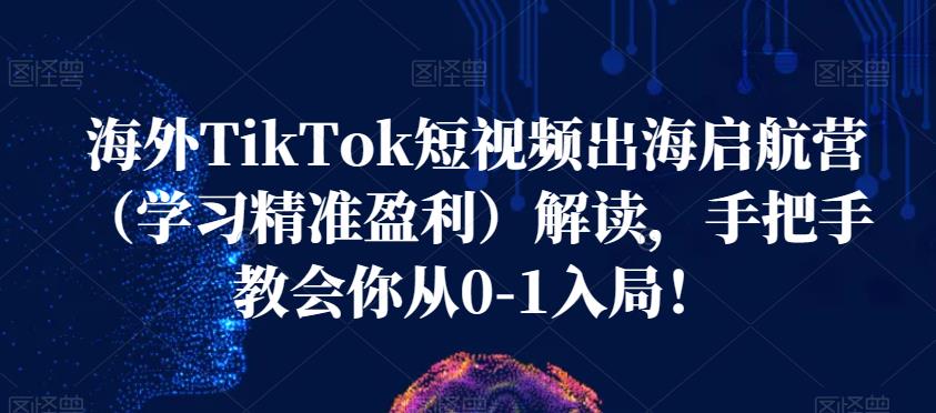 海外TikTok短视频出海启航营（学习精准盈利）解读，手把手教会你从0-1入局！-福喜网创