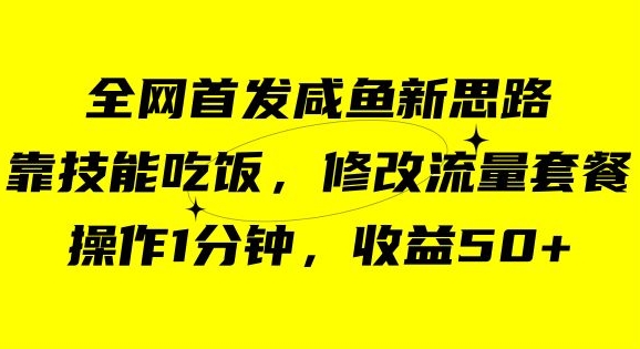 咸鱼冷门新玩法，靠“技能吃饭”，修改流量套餐，操作1分钟，收益50【揭秘】-福喜网创