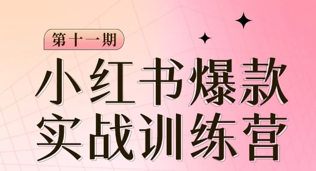 小红书博主爆款训练营第11期，手把手教你从0-1做小红书，从定位到起号到变现-福喜网创
