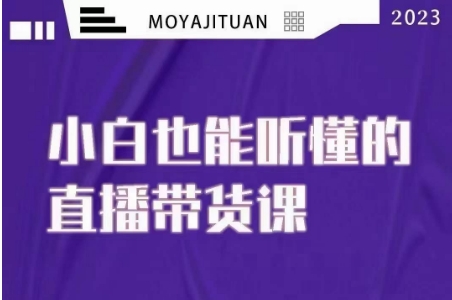 大威本威·能听懂的直播带货课，小白也能听懂，20节完整-福喜网创