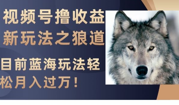 视频号撸收益新玩法之狼道，目前蓝海玩法，轻松月入过万【揭秘】-福喜网创