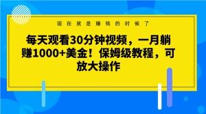 每天观看30分钟视频，一月躺赚1000+美金！保姆级教程，可放大操作【揭秘】-福喜网创
