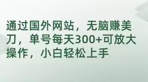 通过国外网站，无脑赚美刀，单号每天300+可放大操作，小白轻松上手【揭秘】-福喜网创