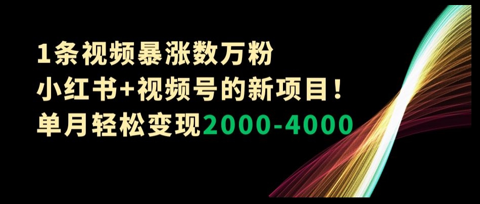 1条视频暴涨数万粉–小红书+视频号的新项目！单月轻松变现2000-4000【揭秘】-福喜网创