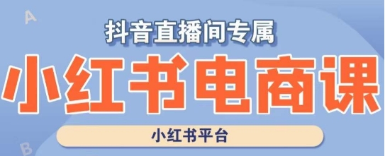 小红书电商高级运营课程，实操教学+案例分析-福喜网创