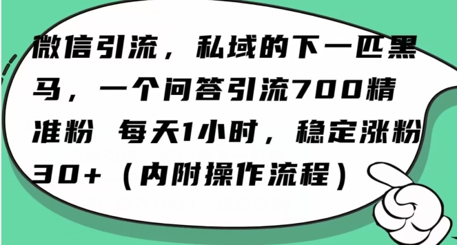 怎么搞精准创业粉？微信新赛道，每天一小时，利用Ai一个问答日引100精准粉-福喜网创