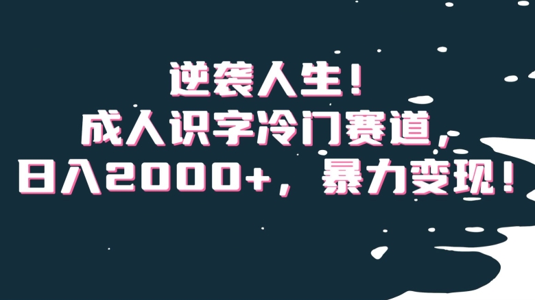 逆袭人生！成人识字冷门赛道，日入2000+，暴力变现！【揭秘】-福喜网创