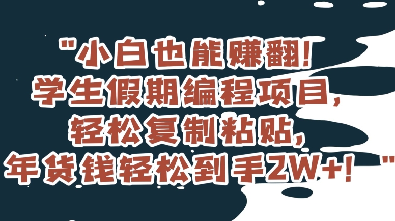 小白也能赚翻！学生假期编程项目，轻松复制粘贴，年货钱轻松到手2W+【揭秘】-福喜网创