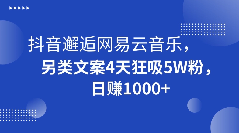抖音邂逅网易云音乐，另类文案4天狂吸5W粉，日赚1000+【揭秘】-福喜网创
