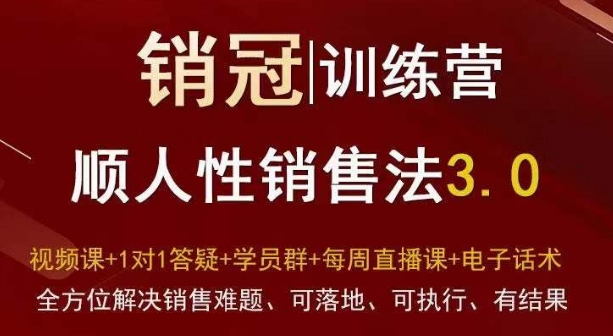 爆款！销冠训练营3.0之顺人性销售法，全方位解决销售难题、可落地、可执行、有结果-福喜网创