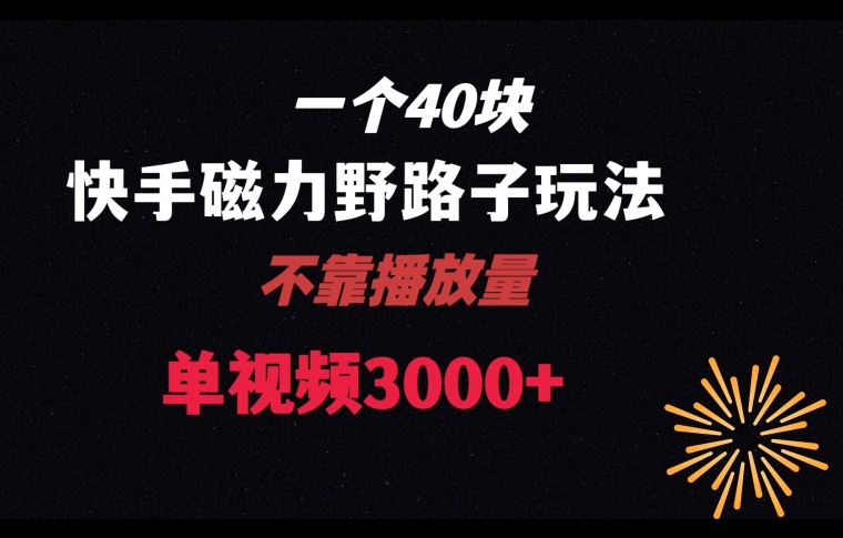 一个40块，快手联合美团磁力新玩法，无视机制野路子玩法，单视频收益4位数【揭秘】-福喜网创