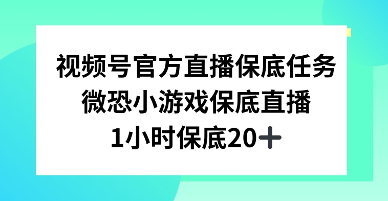 视频号直播任务，微恐小游戏，1小时20+【揭秘】-福喜网创