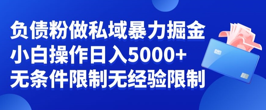 负债粉私域暴力掘金，小白操作入5000，无经验限制，无条件限制【揭秘】-福喜网创