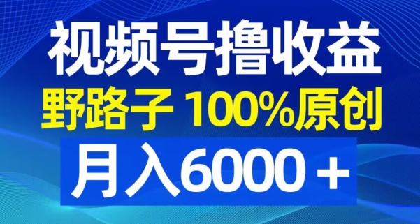 视频号野路子撸收益，100%原创，条条爆款，月入6000＋【揭秘】-福喜网创