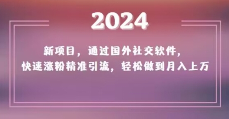 2024新项目，通过国外社交软件，快速涨粉精准引流，轻松做到月入上万【揭秘】-福喜网创