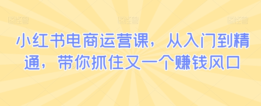 小红书电商运营课，从入门到精通，带你抓住又一个赚钱风口-福喜网创
