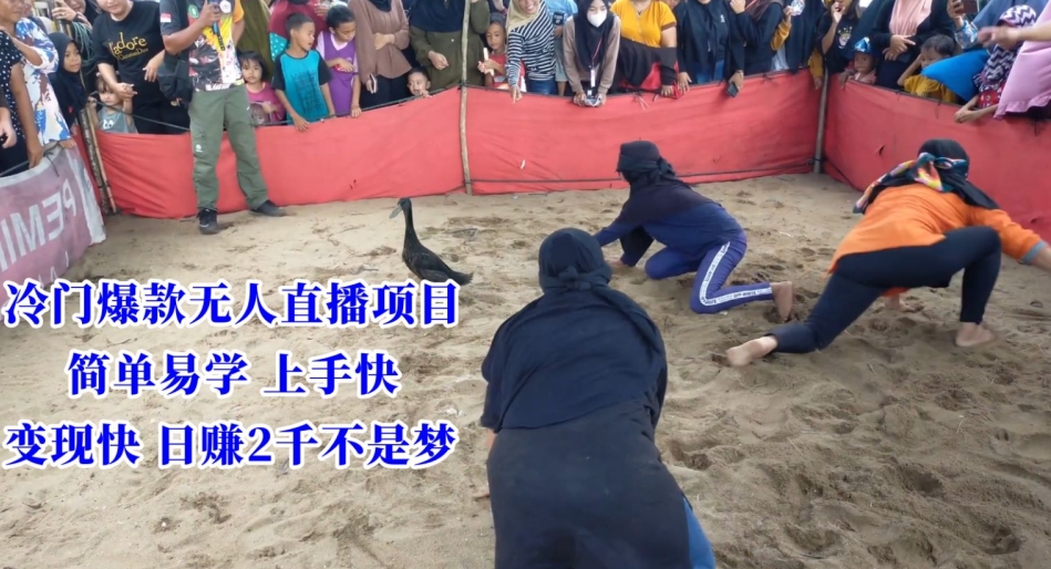 冷门爆款无人直播项目，简单易学上手快，变现快日赚2千不是梦【揭秘】-福喜网创