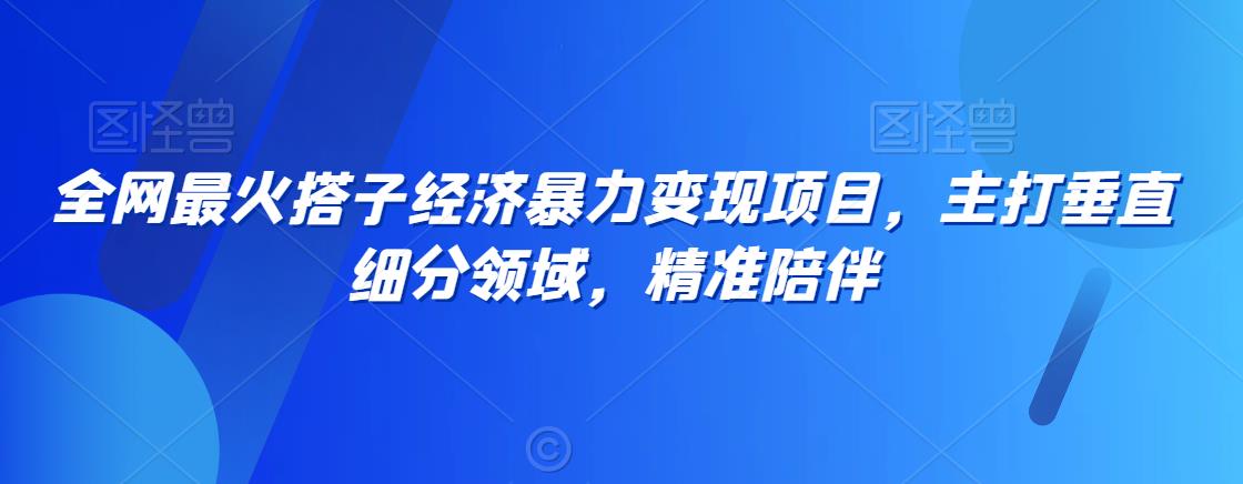 全网最火搭子经济暴力变现项目，主打垂直细分领域，精准陪伴【揭秘】-福喜网创