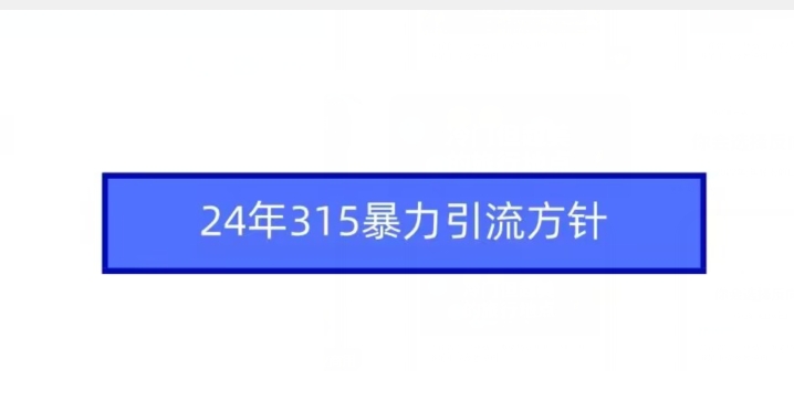 24年315暴力引流方针-福喜网创