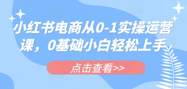小红书电商从0-1实操运营课，0基础小白轻松上手-福喜网创