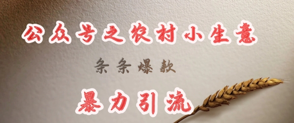 deepseek写农村小项目，条条爆款，暴力引流-福喜网创