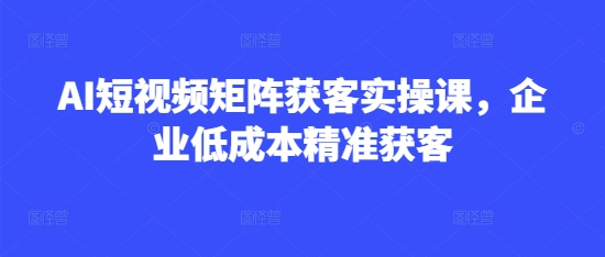 AI短视频矩阵获客实操课，企业低成本精准获客-福喜网创