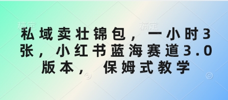 私域卖壮锦包，一小时3张，小红书蓝海赛道3.0版本， 保姆式教学-福喜网创