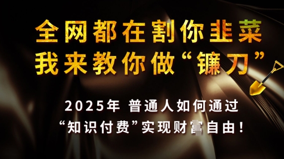 全网都在割你韭菜，我来教你做镰刀，2025普通人如何通过知识付费，实现财F自由【揭秘】-福喜网创