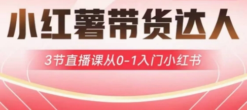 小红薯达人带货启航计划，3节直播课从0-1入门小红书-福喜网创
